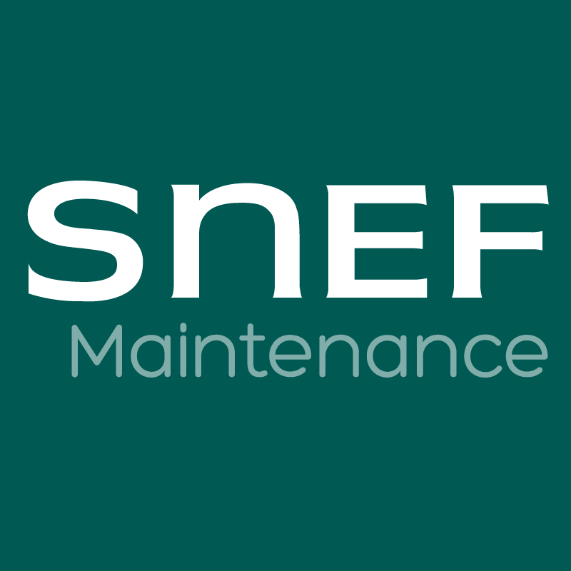 SNEF MAINTENANCE - France